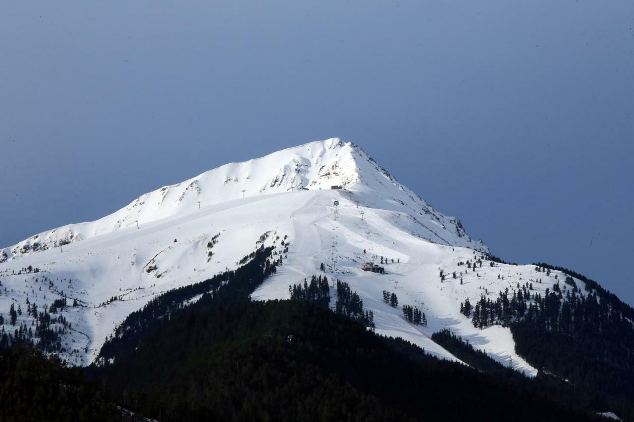 Nice And Quiet Apartment Next To Gondola Lift. Bansko Exterior photo